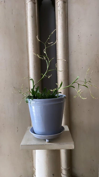 Grey Faaborg Pot | Handmade Erik Bendtsen Ceramics - Bon Ton goods