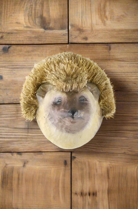 Hedgehog Mounts