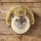 Hedgehog Mounts - BON TON goods