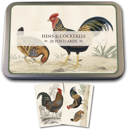 Hens & Cockerels Tin of Postcards | Skona Ting - Bon Ton goods