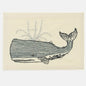 Hi Whale Card | Coral & Tusk - Bon Ton goods