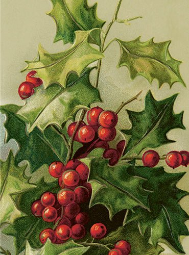Hollyberry Small Folded Card with Envelope | Skona Ting - Bon Ton goods