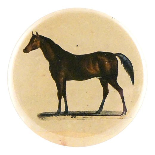 Horse 1 - Mirror & Button Pins | John Derian - Bon Ton goods