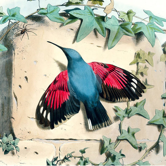 Hummingbird Silk Scarf | John Derian - Bon Ton goods