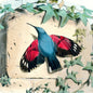 Hummingbird Silk Scarf | John Derian - Bon Ton goods