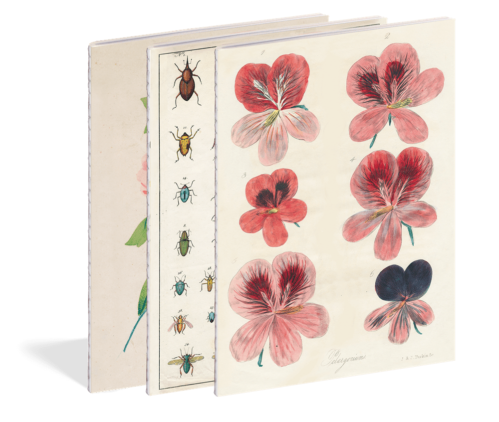 In the Garden Notebooks | John Derian - Bon Ton goods