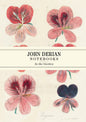 In the Garden Notebooks | John Derian