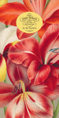 In the Garden Notepad | John Derian