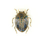 Jeweled Scarab Beetle Brooch Pin | Trovelore - Bon Ton goods