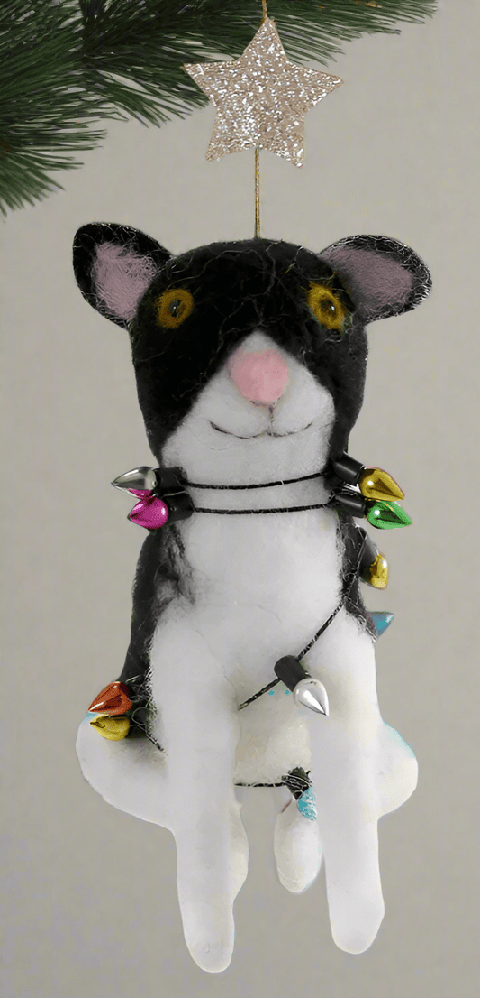 Jingle Cats - Tuxedo with Star | Christmas Ornament - Bon Ton goods