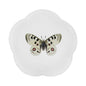 John Derian Apollo Butterfly Dinner Plate by Astier de Villatte, view 1