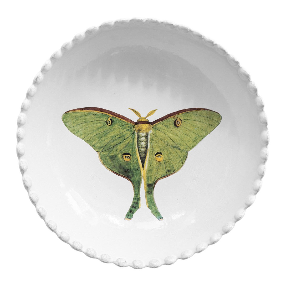 John Derian Eyed green butterfly Soup Plate by Astier de Villatte, view 1