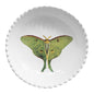 John Derian Eyed green butterfly Soup Plate by Astier de Villatte, view 1