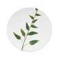 John Derian Medium Campanula Plate by Astier de Villatte, view 1