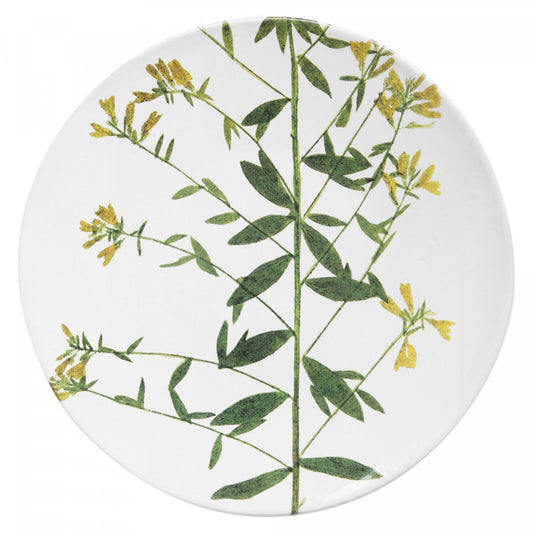 John Derian Medium Genista Plate | Astier de Villatte: Exclusive Pre-Order Item - Bon Ton goods