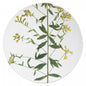 John Derian Medium Genista Plate by Astier de Villatte, view 1