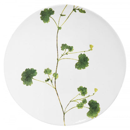 John Derian Medium Othona Plate by Astier de Villatte, view 1