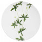 John Derian Medium Tormentilla Plate by Astier de Villatte, view 1