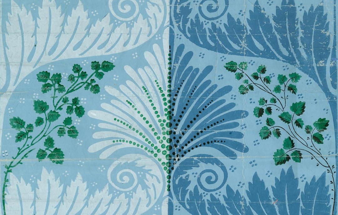 John Derian Picture Book II | John Derian - Bon Ton goods