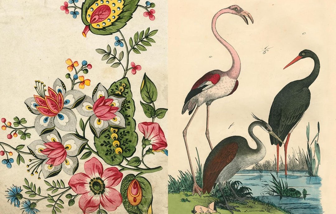 John Derian Picture Book II | John Derian - Bon Ton goods