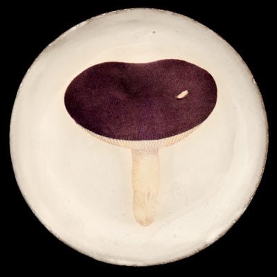 John Derian Small Agaric Emetique Plate | Astier de Villatte: Exclusive Pre-Order Item - Bon Ton goods