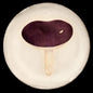 John Derian Small Agaric Emetique Plate by Astier de Villatte, view 1