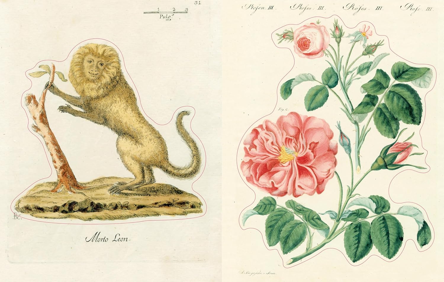 John Derian Sticker Book II | John Derian - Bon Ton goods