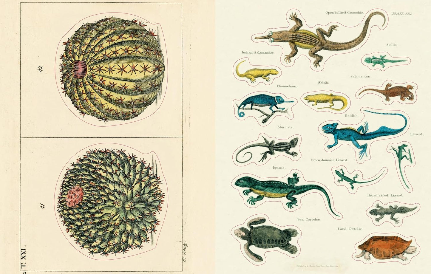 John Derian Sticker Book II