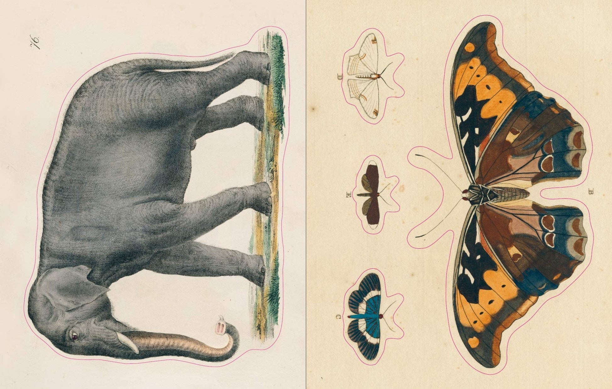 John Derian Sticker Book | John Derian - Bon Ton goods