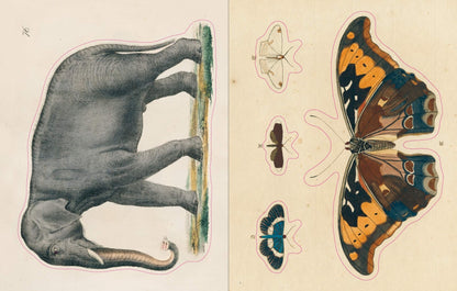 John Derian Sticker Book | John Derian - Bon Ton goods