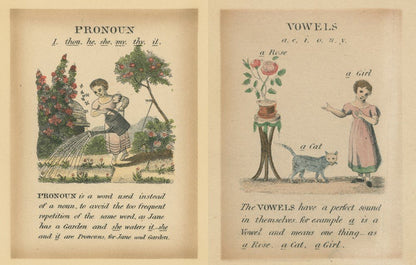 John Derian - The Picture Book Collection | John Derian - Bon Ton goods