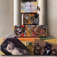 Load image into Gallery viewer, KITTY CAT DECOUPAGE BOX #1 - Large - Bon Ton goods
