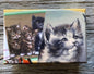 KITTY CAT DECOUPAGE BOX 1 - Medium - Bon Ton goods