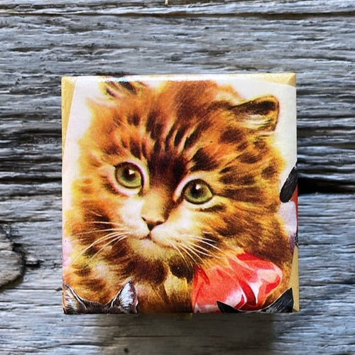 KITTY CAT DECOUPAGE BOX #1 - SMALL - Bon Ton goods