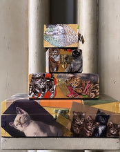 Load image into Gallery viewer, KITTY CAT DECOUPAGE BOX #1 - SMALL - Bon Ton goods
