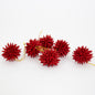 Kotte Mini, 6­ pack, red - Bon Ton goods