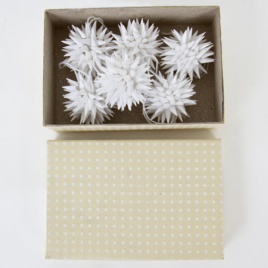 Kotte Mini, 6­ pack, white - Bon Ton goods