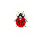 Lady Bird Beetle Brooch Pin | Trovelore - Bon Ton goods