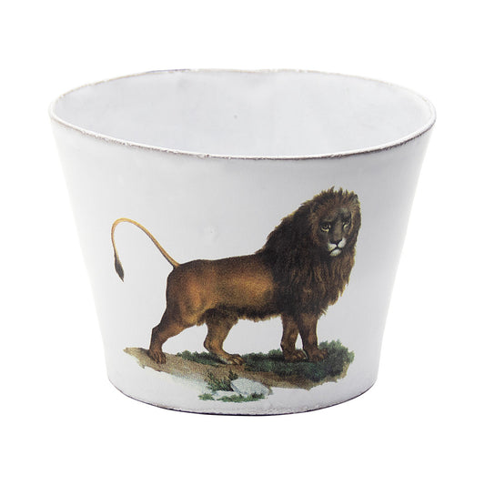 Large Leo Barbus Cup without Handle, John Derian, set of 3 by Astier de Villatte