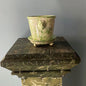 Light Green Lion Pot Marbleized | Handmade Erik Bendtsen Ceramics - Bon Ton goods