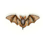Long Eared Bat Brooch Pin | Trovelore - Bon Ton goods