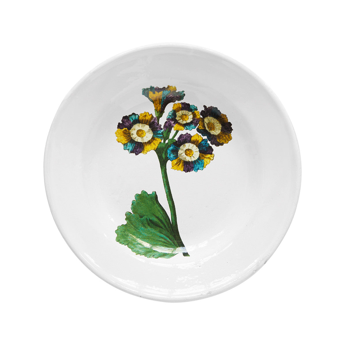 John Derian Lord Willoughbys Soup Plate, set of 6 by Astier de Villatte, official product view