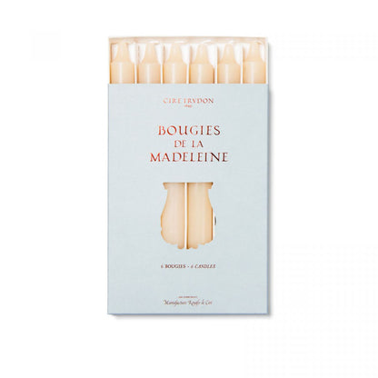 Madeleine Candles | Trudon - Bon Ton goods