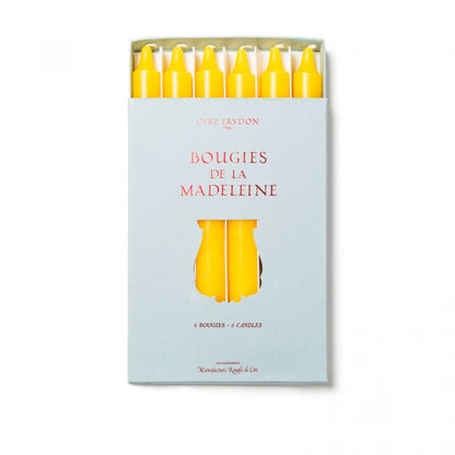 Madeleine Candles | Trudon - Bon Ton goods