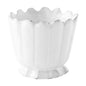 Marguerite Egg Cup by Astier de Villatte, view 1