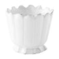 Marguerite Egg Cup by Astier de Villatte, official product view