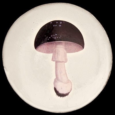 Medium Agaric Fuligineux Plate, John Derian | Astier de Villatte: Exclusive Pre-Order Item - Bon Ton goods
