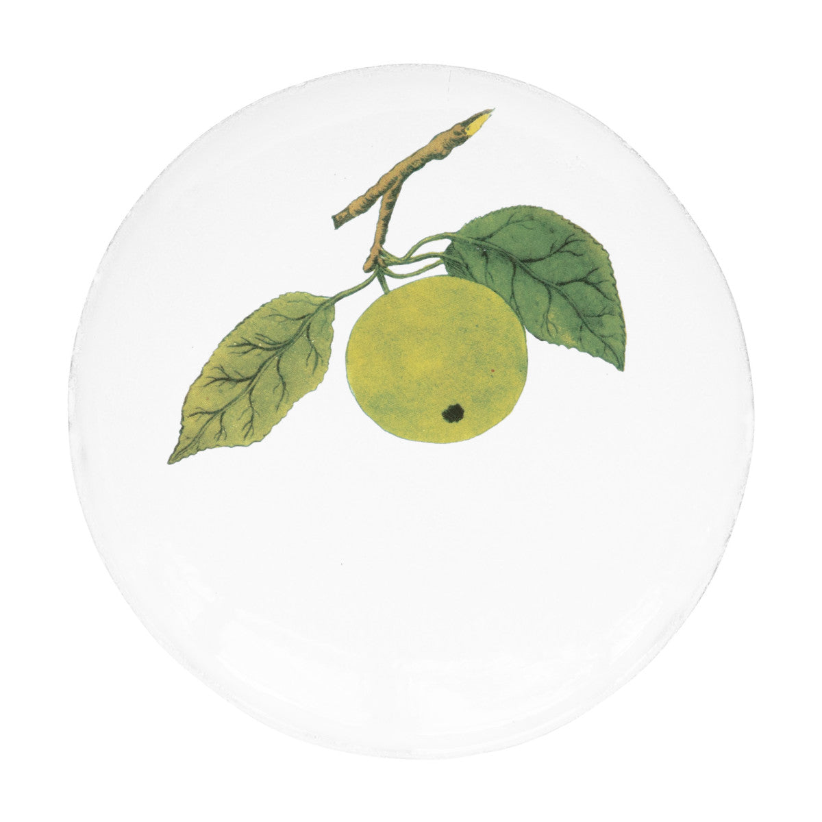 John Derian Medium Apple Plate, set of 6 by Astier de Villatte, official product view