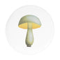John Derian Medium Bolet Blanchatre Plate, set of 6 by Astier de Villatte, official product view