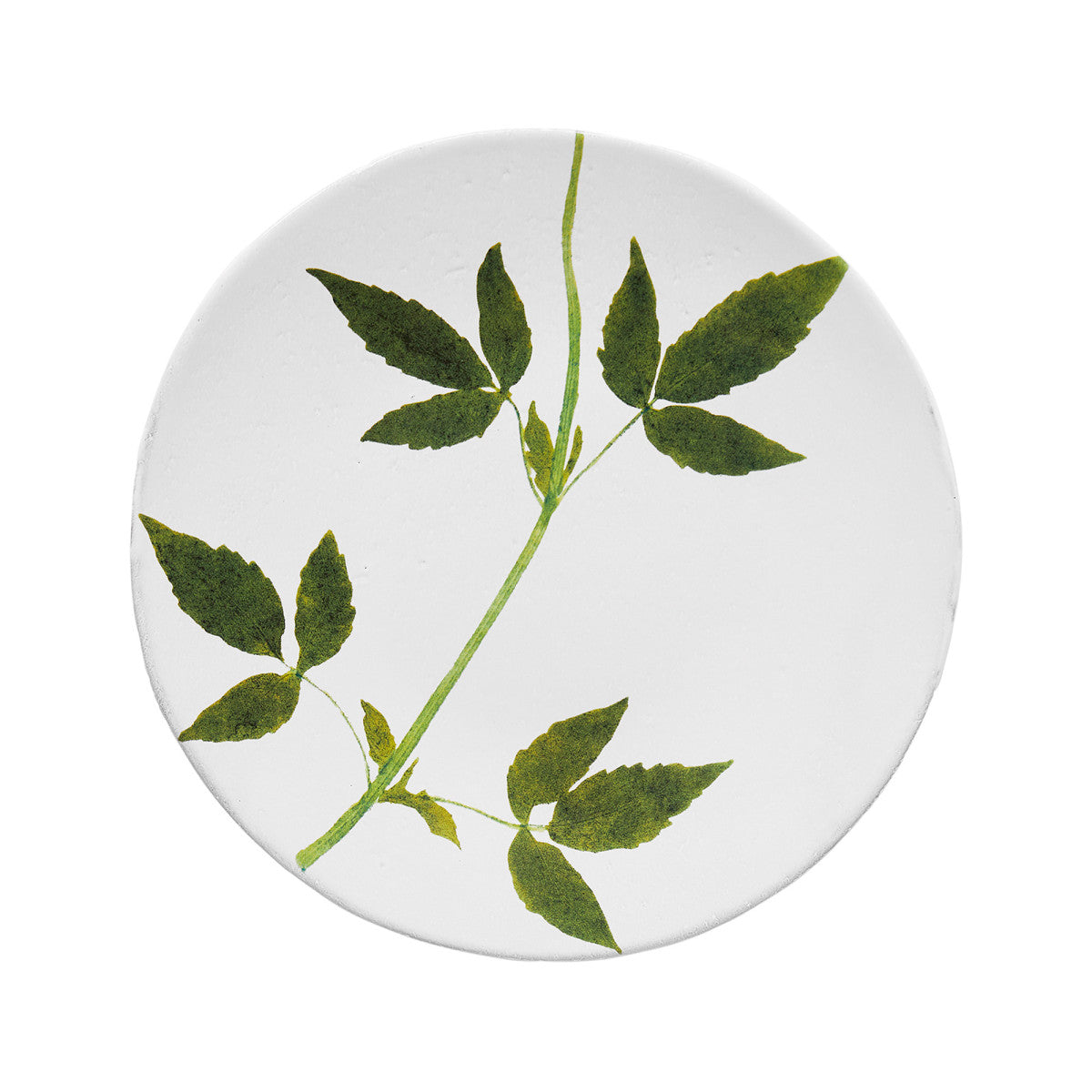 John Derian Medium Drachocephalum Plate, set of 6 by Astier de Villatte, official product view